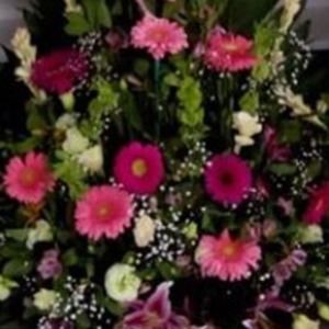 Meet your Posher, Adriana